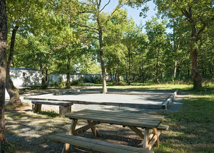 Les Chevrefeuilles 4* Royan